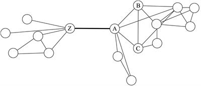 Conceptualizing the Dynamics between Bicultural Identification and Personal Social Networks